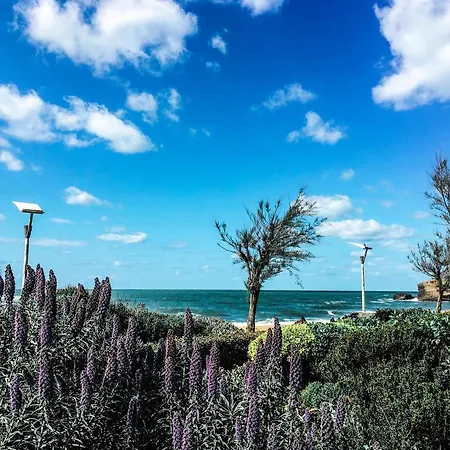 Apartman Korala T2 Marne & Plage Biarritz